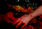 eine Hand