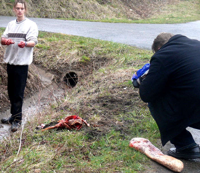 Tromaggot gegen das Chickenzombie