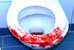 blutige Toilette