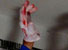 Hand